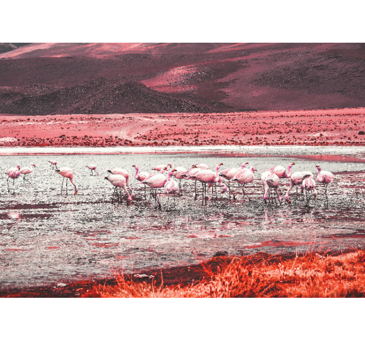 Fototapeter Övriga djur flamingos habitat scen - Tenstickers