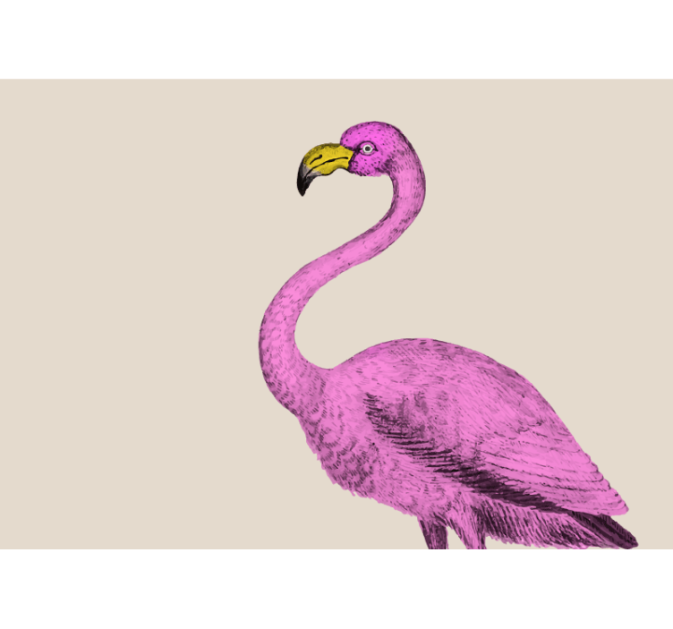 Fototapeter djur rosa flamingo elegans - Tenstickers