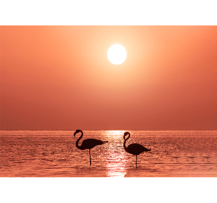 Fototapeter djur flamingo solnedgångsbild - Tenstickers