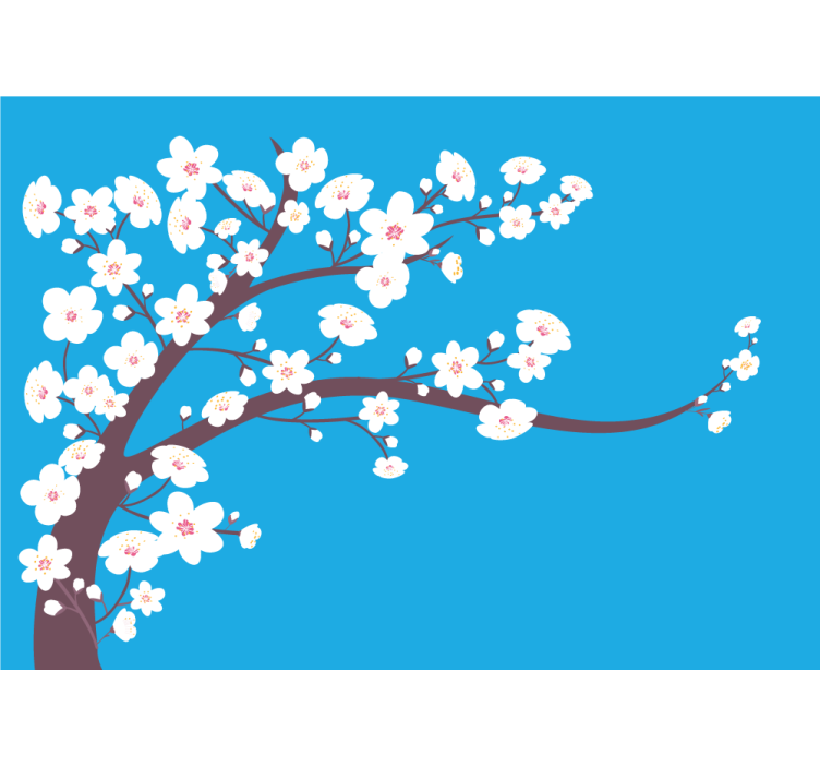 Fototapeter blommor sakura blommande gren - Tenstickers