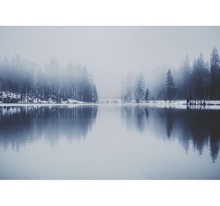 Vinter dimmig skog natur fototapet - Tenstickers