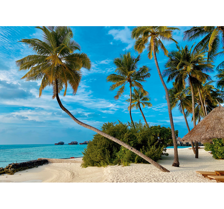 Fototapeter natur tropisk palm landskap - Tenstickers