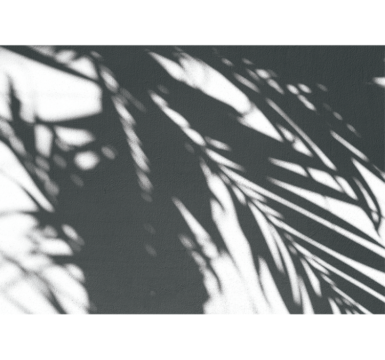 Fototapeter natur skuggiga palmönster - Tenstickers
