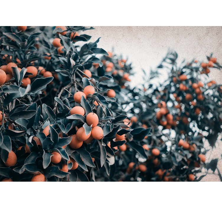 Fototapeter blommor citrusfruktgren - Tenstickers