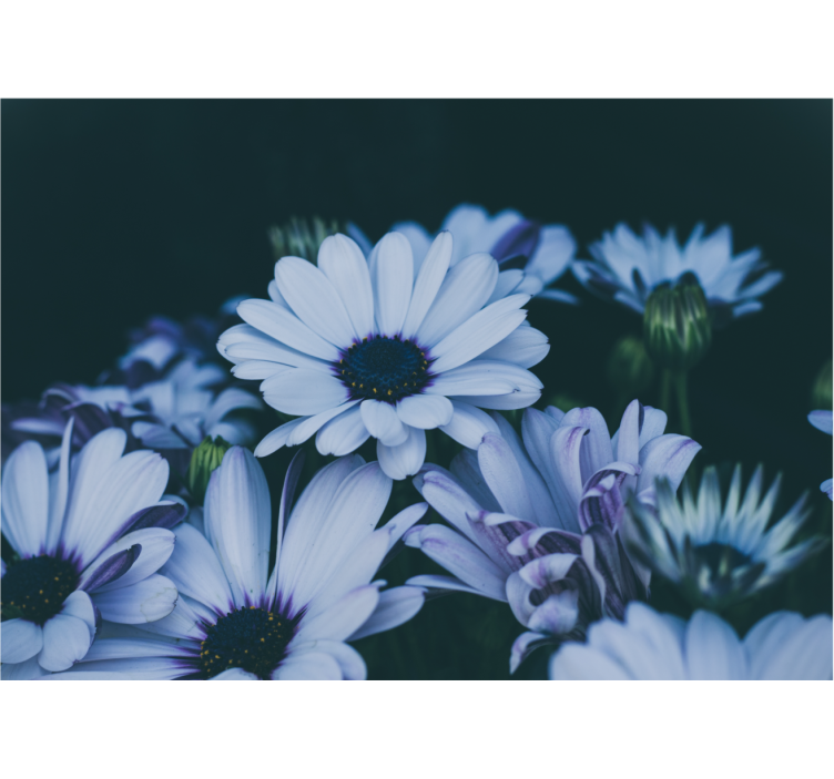 Fototapeter blommor lugnande blomsterarrangemang - Tenstickers