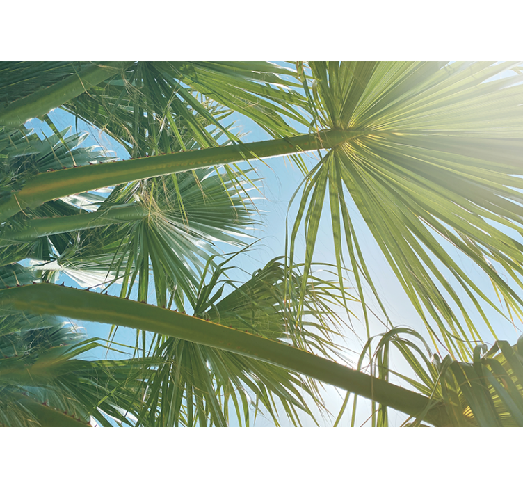 Fototapet gröna tropiska blad skog - Tenstickers