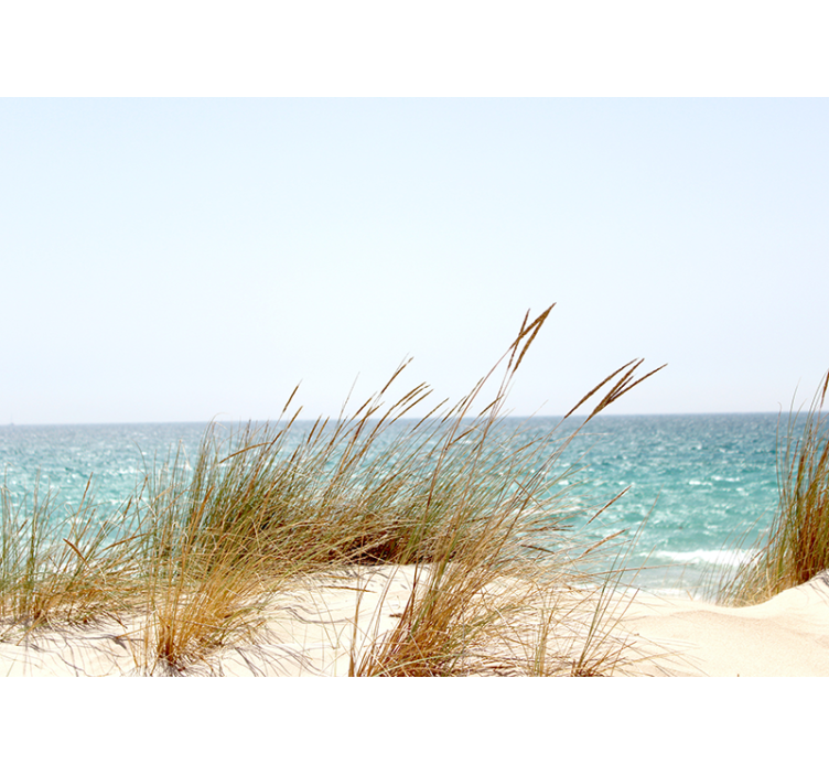 Fototapet strand käpp gräs natur - Tenstickers