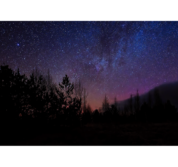 Fototapeter rymden celestial evening canvas - Tenstickers
