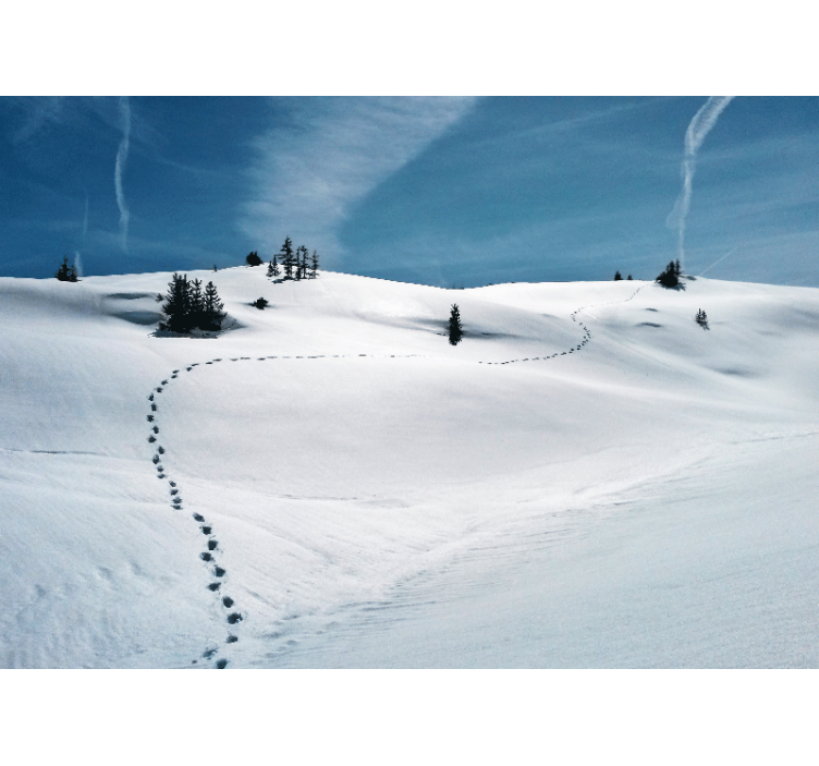 Fototapeter fjäll snöig bergsstig - Tenstickers