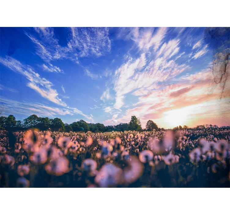 Fototapeter blommor maskrosfältets lugnet - Tenstickers