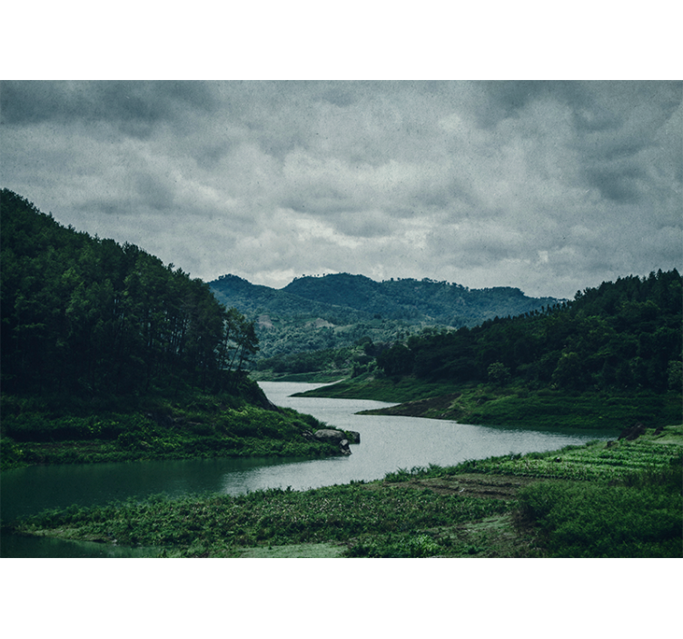 Vatten och skog estetisk fototapeta - Tenstickers