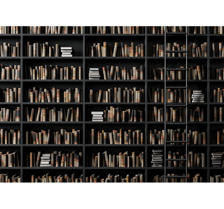 Bokhyllor optisk illusion 3d fototapeta - Tenstickers