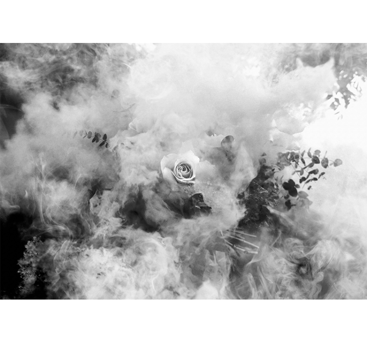 Fototapeter blommor eterisk vit ros - Tenstickers