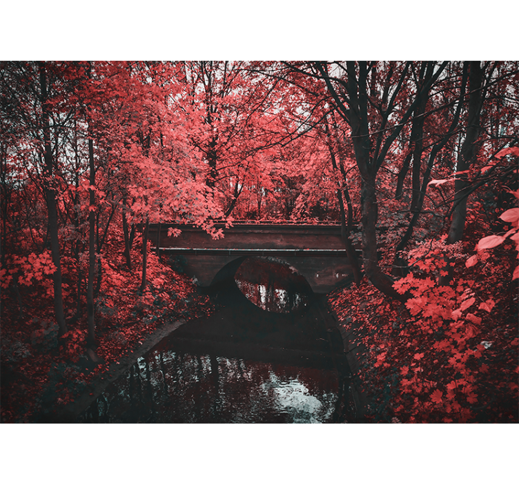 Fototapeter natur rödbladig skog - Tenstickers