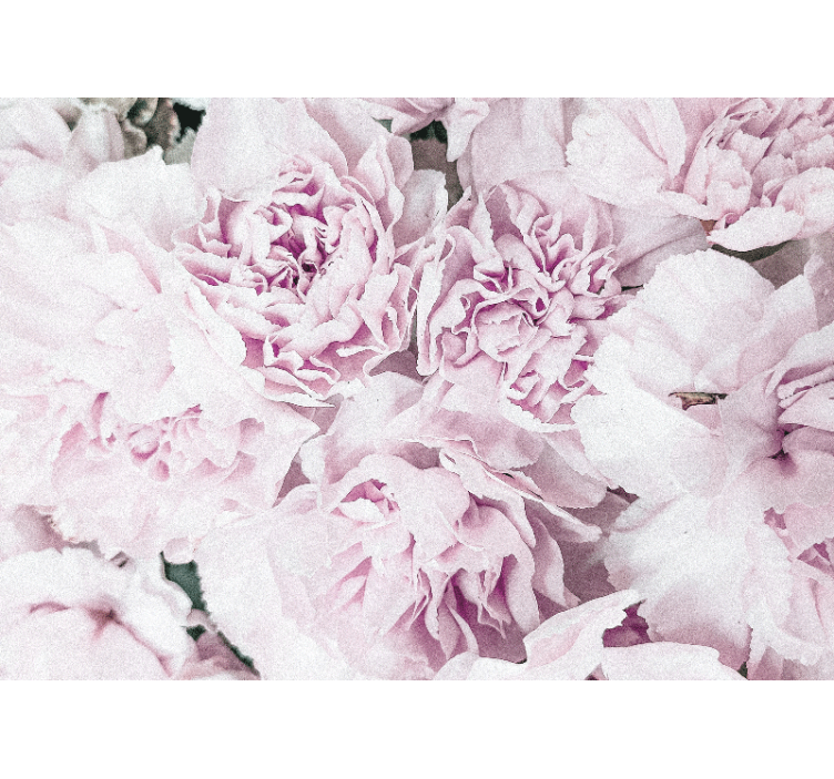 Fototapeter blommor mjuka rosa blommor - Tenstickers