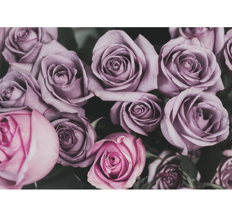 Fototapeter blommor lavendelrosbukett - Tenstickers