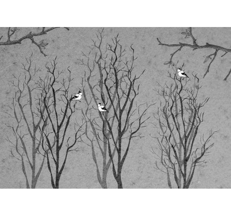 Fototapeter träd kvistar med fåglar - Tenstickers