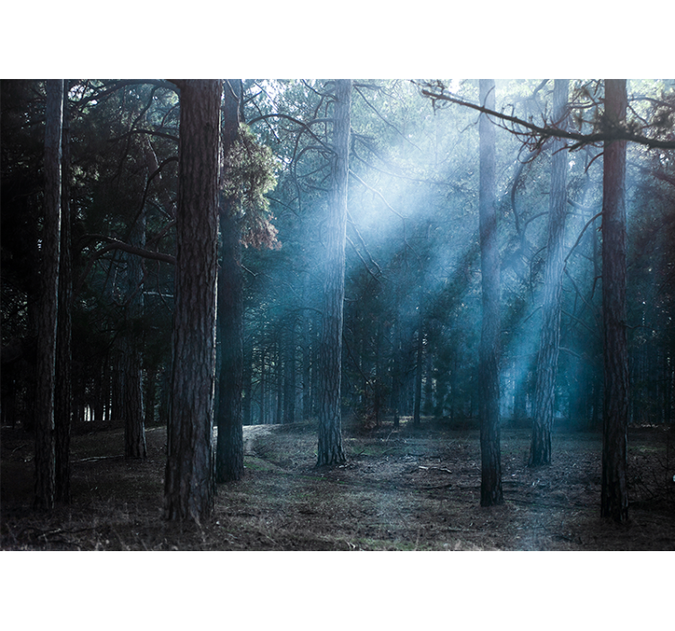 Dimmig dimmig väg Fototapeter Skogar - Tenstickers