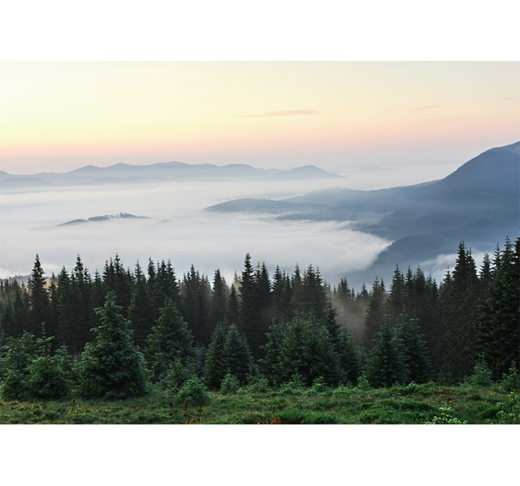 Skog med solutsikt natur tapet - Tenstickers