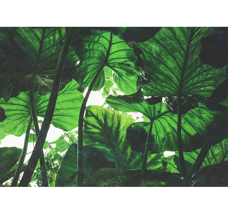 Fototapeter natur lummig bladtak - Tenstickers