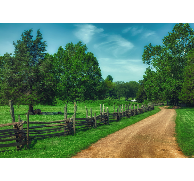 Fototapeter landskap levande grön gångstig - Tenstickers
