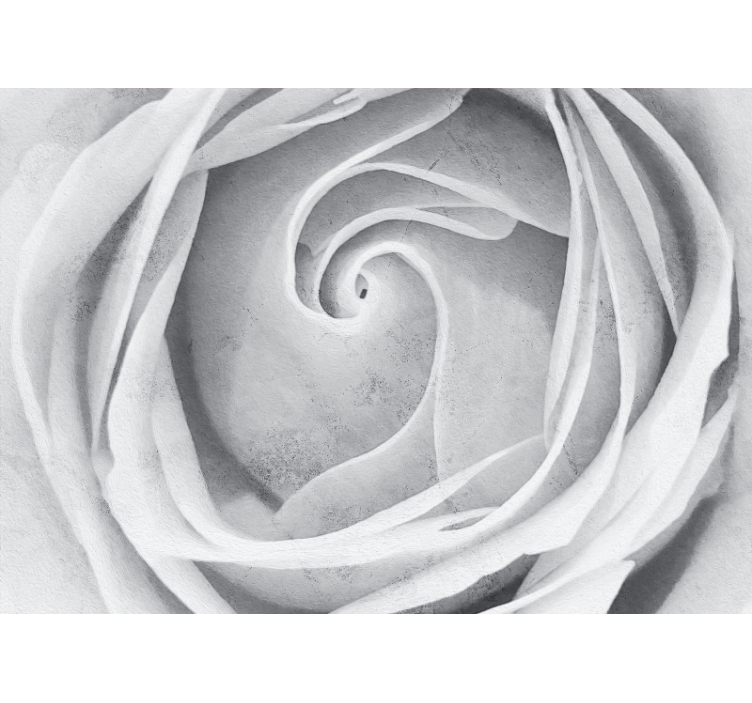 Fototapeter blommor elegant ros spiral - Tenstickers