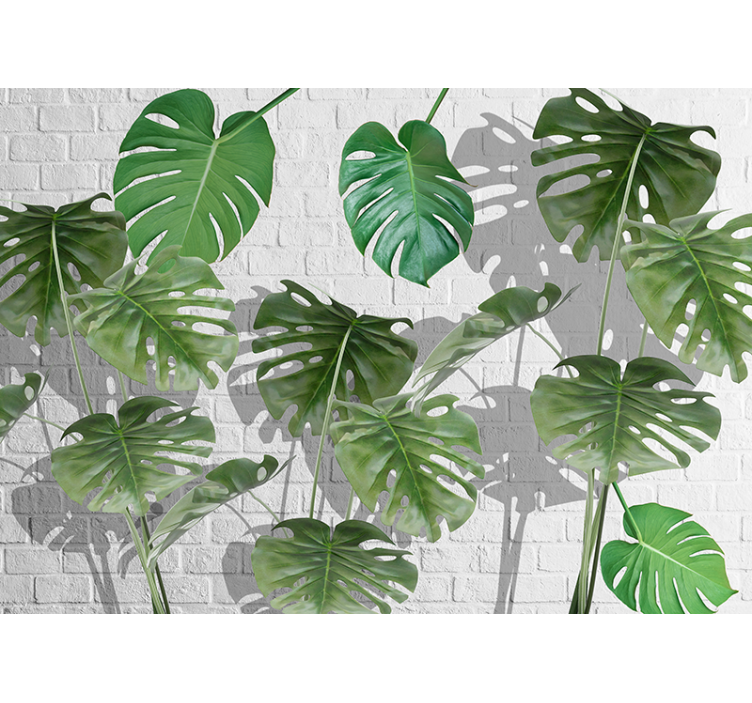 Fototapeter natur monstera bladarrangemang - Tenstickers