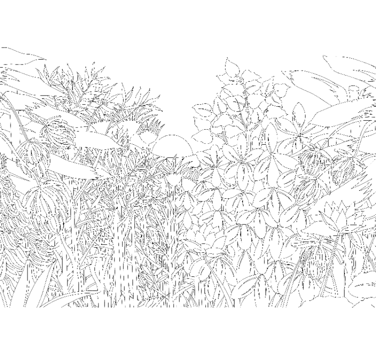 Tropisk djungel skiss skog fototapet - Tenstickers