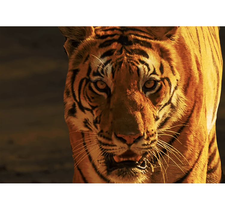 Hotfull och arg tiger fototapet - Tenstickers