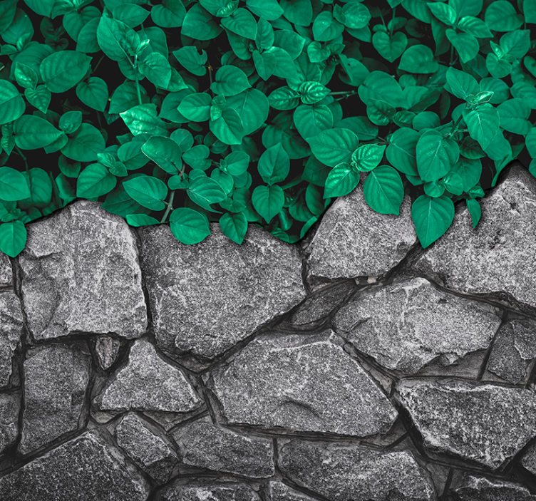 Löv och stenar Fototapeter Salong - Tenstickers