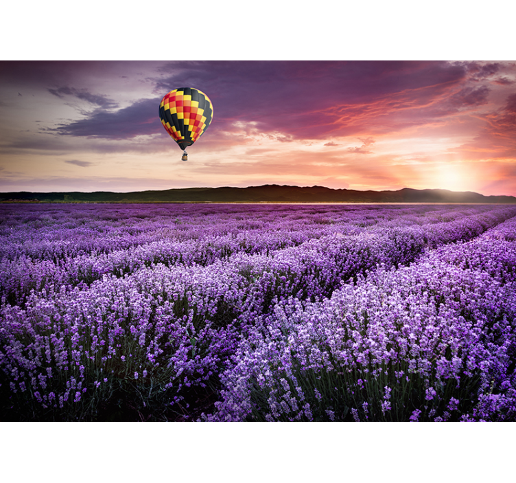 Lavendel luftballong natur fototapet - Tenstickers