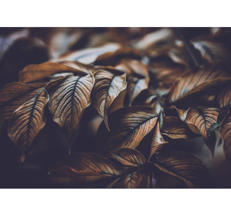 Gyllene blad natur fototapet - Tenstickers