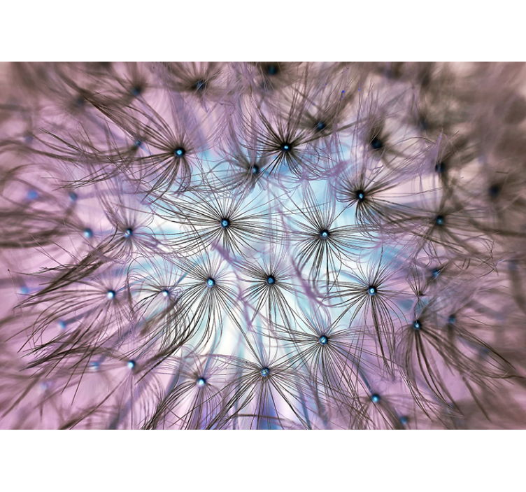 Maskros vanföreställning Fototapeter Fantasi - Tenstickers