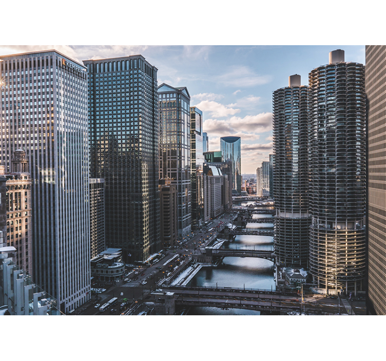 Fototapeter städer och länder chicago skyline utsikt - Tenstickers