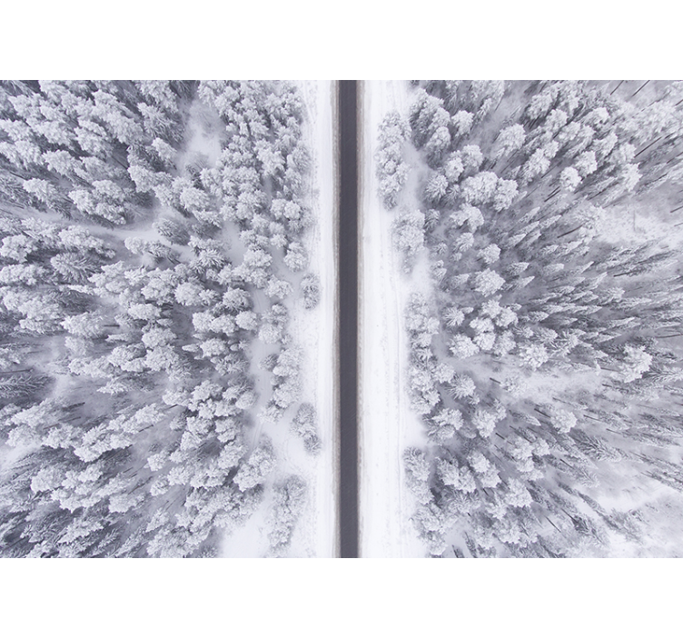 Vintrig skogsstig Fototapeter Landskap - Tenstickers