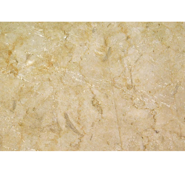 Ljusbrun stenfototapet - Tenstickers