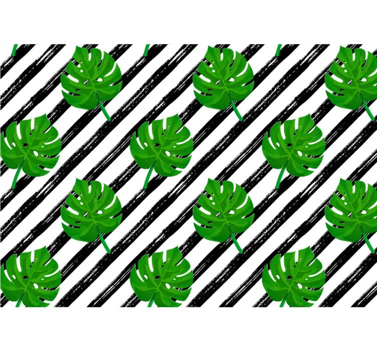 Randig monstera lämnar naturen fototapet - Tenstickers