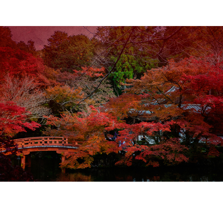 Fototapeter natur höstlig lugnet - Tenstickers