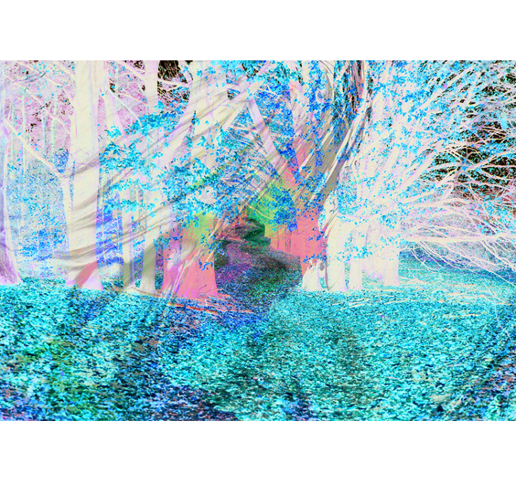 Höstväg Fototapeter Skogar - Tenstickers