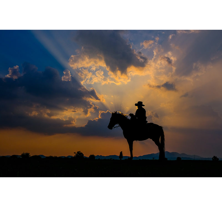 Fototapeter djur ryttare på häst - Tenstickers