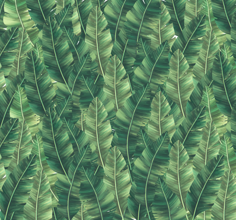 Stora blad fototapeter Natur - Tenstickers