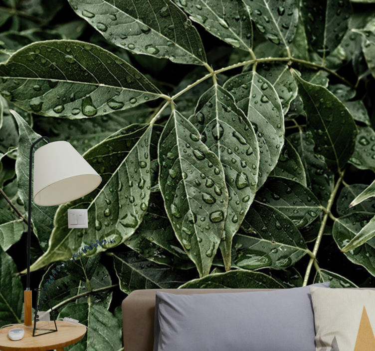 Fototapet löv med daggdroppar vardagsrum - Tenstickers