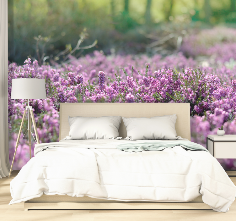 Blommande ljung Fototapeter Blommor - Tenstickers