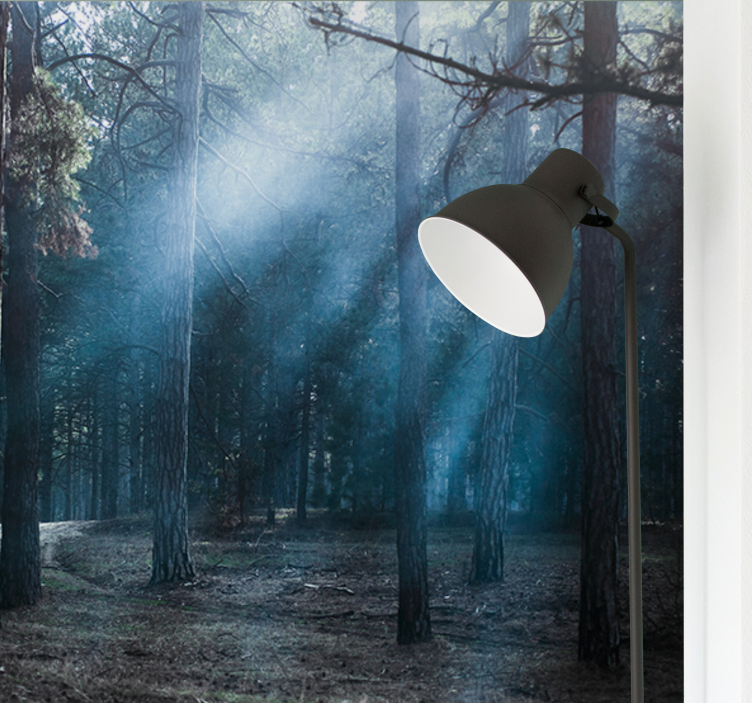 Dimmig dimmig väg Fototapeter Skogar - Tenstickers