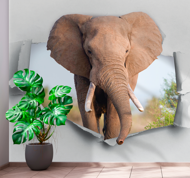 Elefant som bryter 3d -fototapet - Tenstickers
