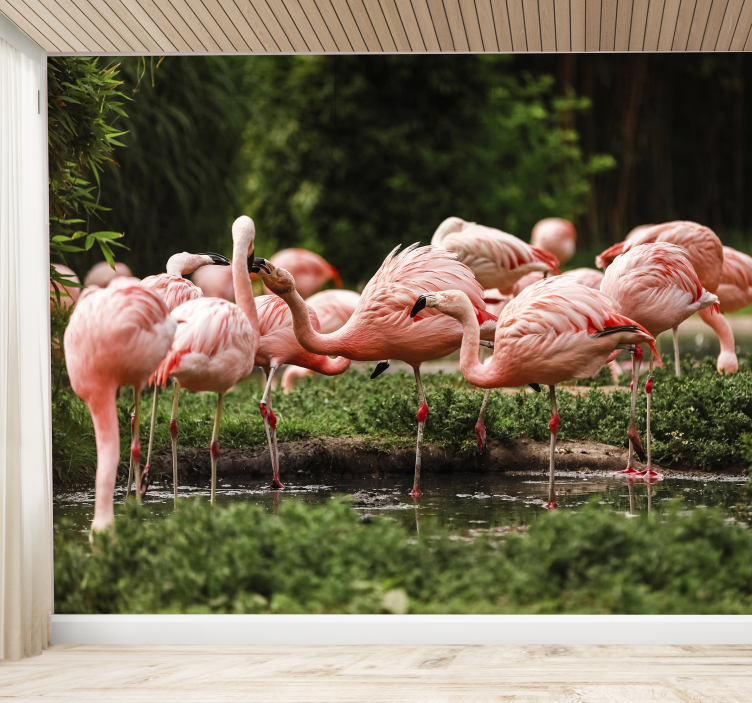 Flamingo grupp fototapet - Tenstickers