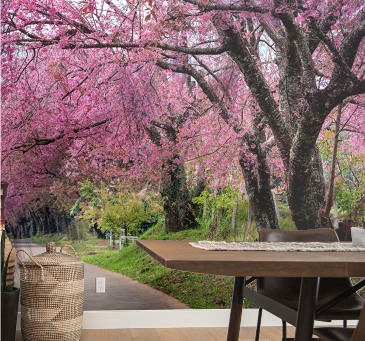 Rosa japanska körsbärsträd fototapeta - Tenstickers