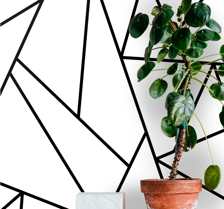 Fototapeter abstrakt geometriska svarta linjer - Tenstickers