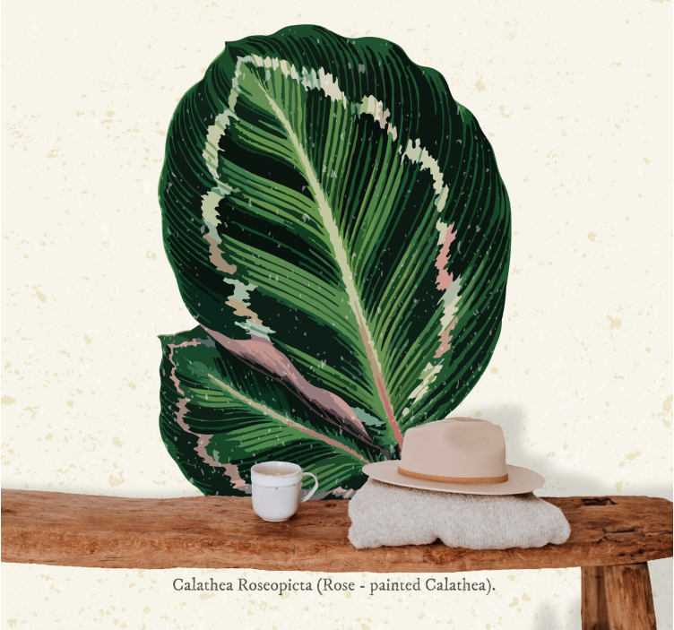Fototapeter blommor calathea bladmotiv - Tenstickers