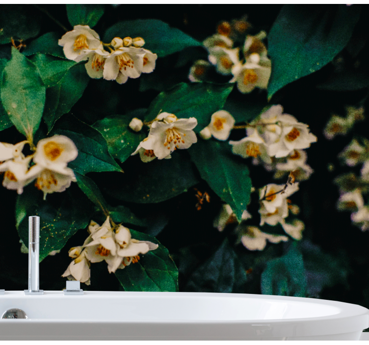 Fototapeter blommor fina vita blommor - Tenstickers